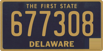 DE license plate 677308