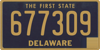 DE license plate 677309