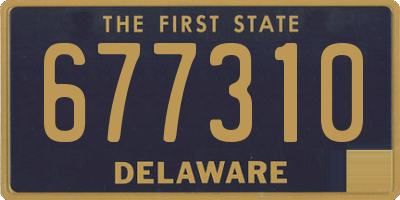 DE license plate 677310
