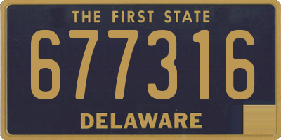 DE license plate 677316