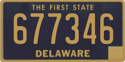 DE license plate 677346