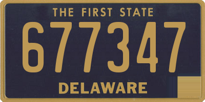 DE license plate 677347