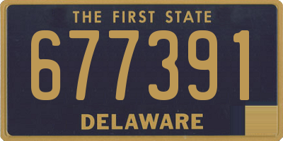 DE license plate 677391