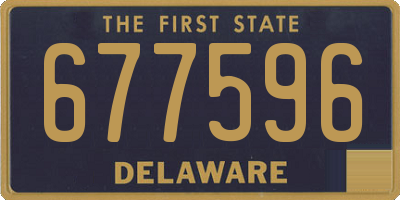 DE license plate 677596