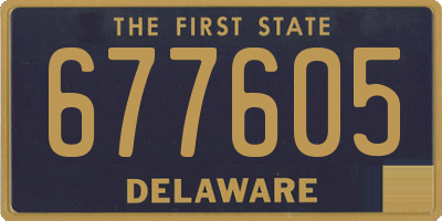 DE license plate 677605