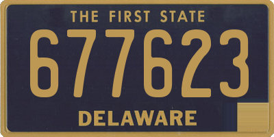 DE license plate 677623