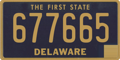DE license plate 677665