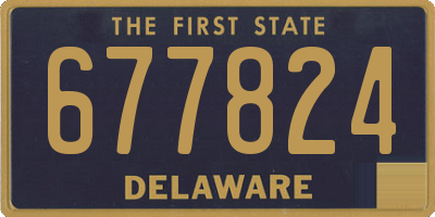 DE license plate 677824