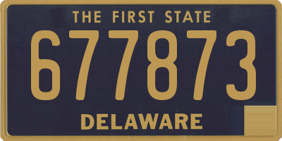 DE license plate 677873