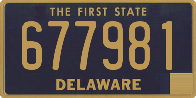 DE license plate 677981