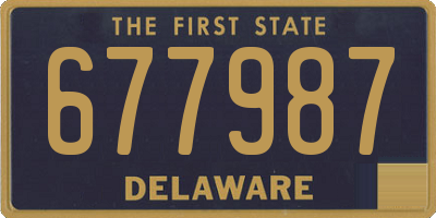 DE license plate 677987