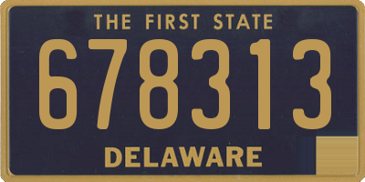 DE license plate 678313