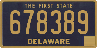 DE license plate 678389