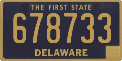 DE license plate 678733
