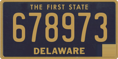DE license plate 678973