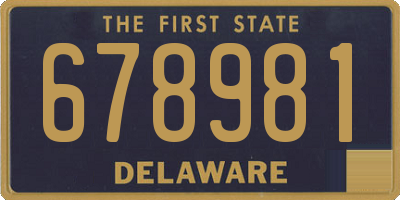 DE license plate 678981