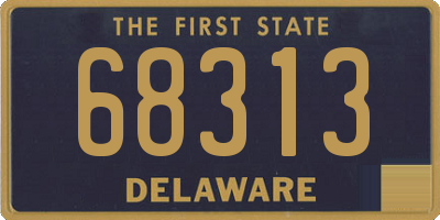 DE license plate 68313