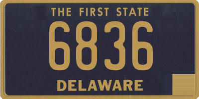 DE license plate 6836