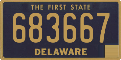 DE license plate 683667