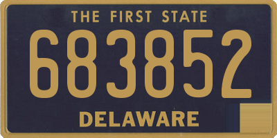 DE license plate 683852