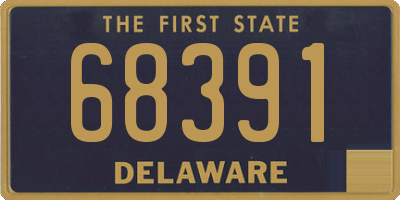 DE license plate 68391