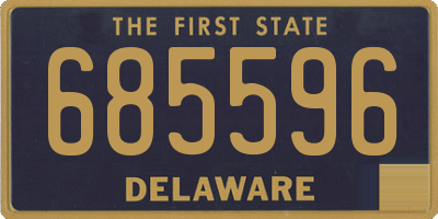 DE license plate 685596