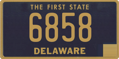 DE license plate 6858