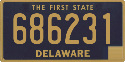 DE license plate 686231