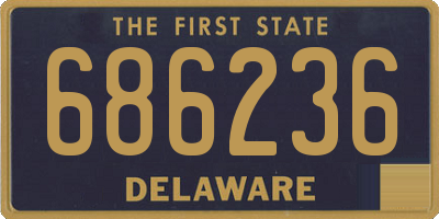 DE license plate 686236