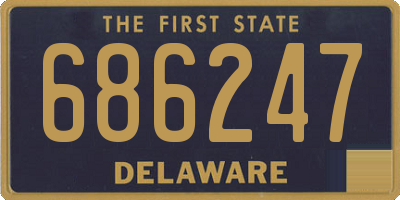DE license plate 686247