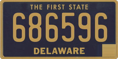 DE license plate 686596
