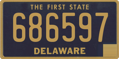 DE license plate 686597