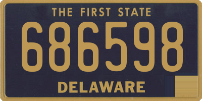 DE license plate 686598
