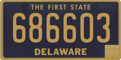 DE license plate 686603
