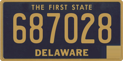 DE license plate 687028