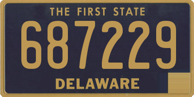 DE license plate 687229