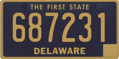 DE license plate 687231