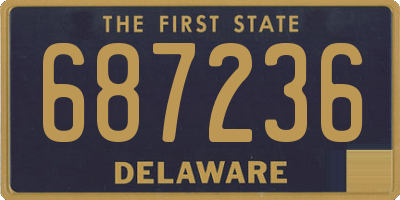 DE license plate 687236