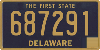 DE license plate 687291
