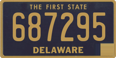 DE license plate 687295