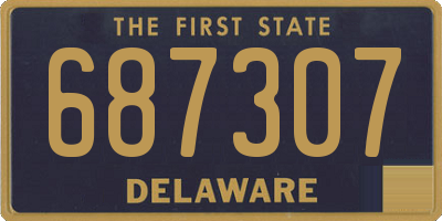 DE license plate 687307
