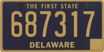 DE license plate 687317