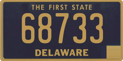 DE license plate 68733