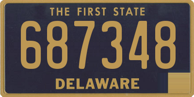 DE license plate 687348