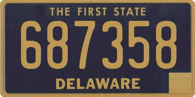 DE license plate 687358