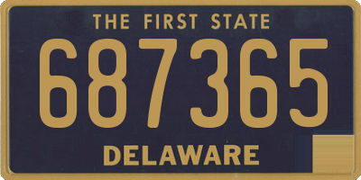 DE license plate 687365