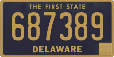 DE license plate 687389