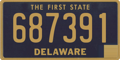 DE license plate 687391