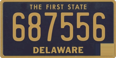 DE license plate 687556