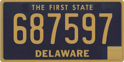 DE license plate 687597